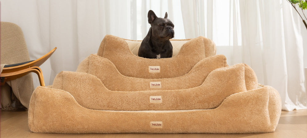 Orthopedic Dog Bed