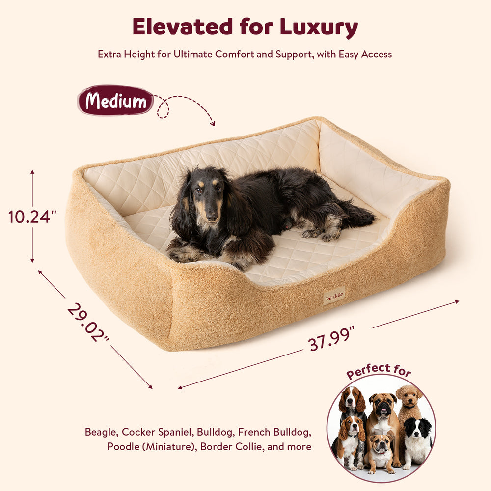 
                  
                    Dual-Sided Orthopedic Dog Bed(M)
                  
                