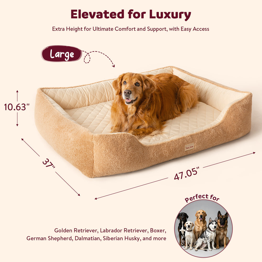 
                  
                    Dual-Sided Orthopedic Dog Bed(L)
                  
                