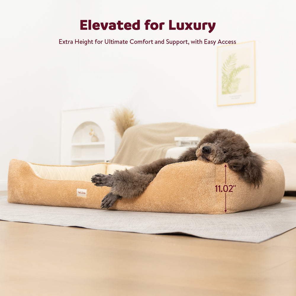 
                  
                    Dual-Sided Orthopedic Dog Bed(XL)
                  
                