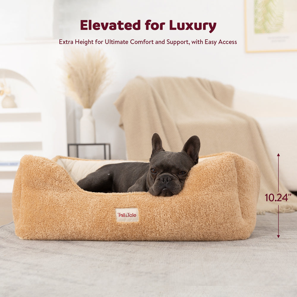 
                  
                    Dual-Sided Orthopedic Dog Bed(S)
                  
                