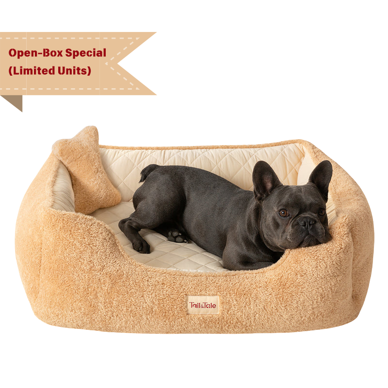 Orthopedic Dog Bed – Open-Box Special (Limited Units)