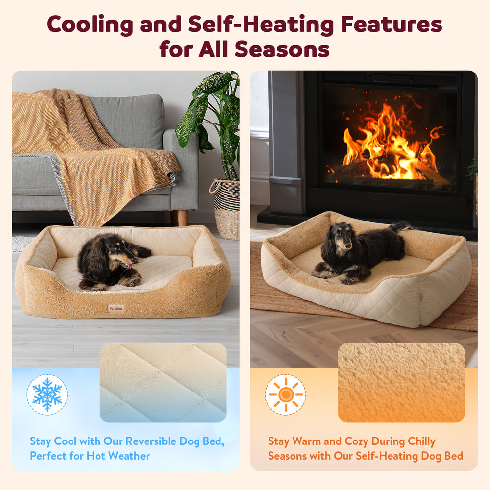 
                  
                    Dual-Sided Orthopedic Dog Bed(M)
                  
                