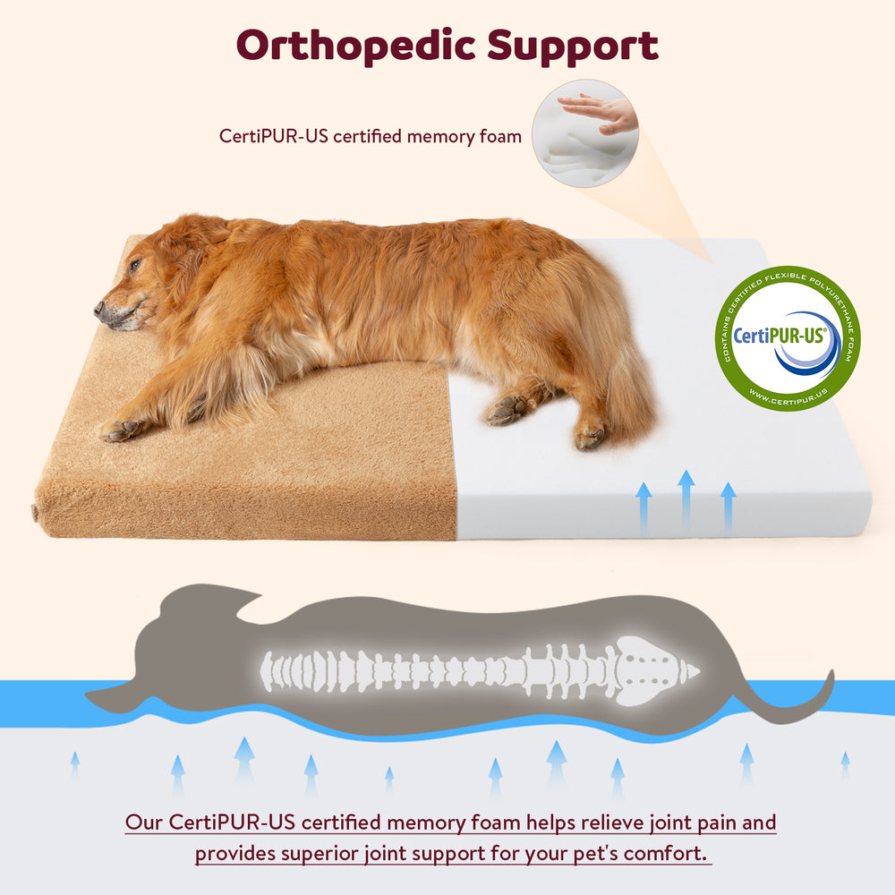 
                  
                    Dual-Sided Orthopedic Dog Bed(S)
                  
                