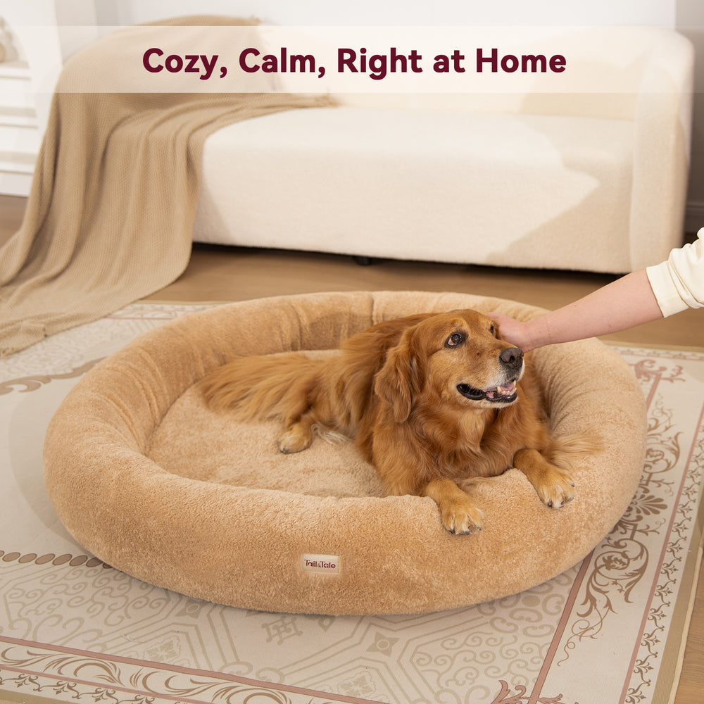 
                  
                    Dual-Sided Donut Dog Bed (L)
                  
                