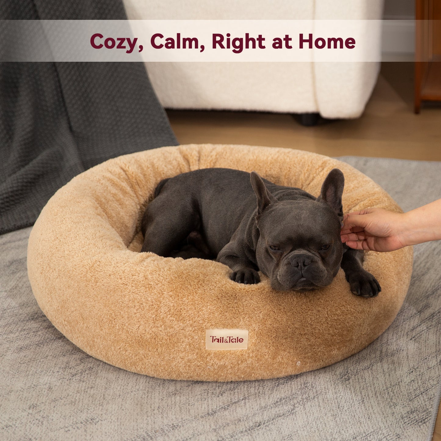 Dual-Sided Donut Dog Bed (S)