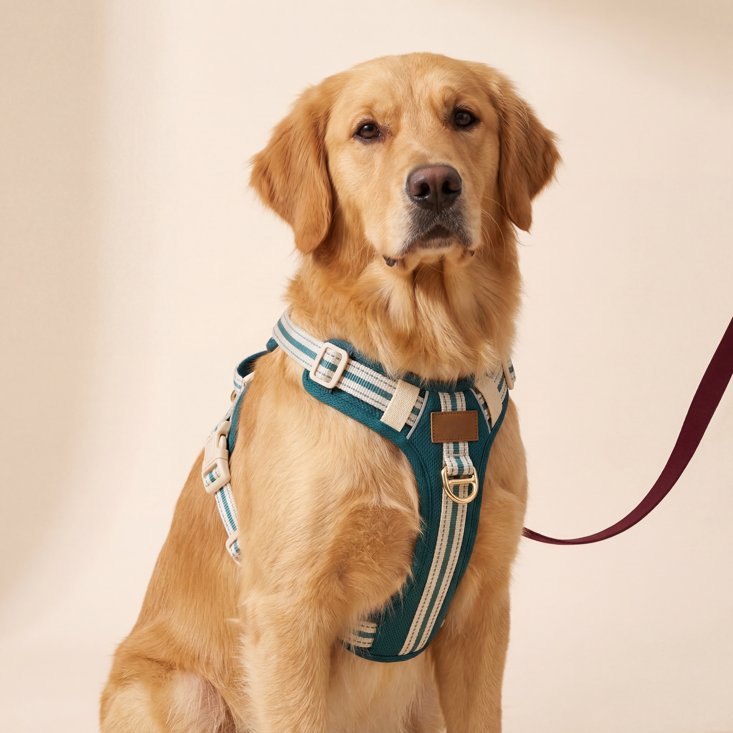 Everyday Comfort Harness — Lightweight Support for Walks, Outings & Daily Adventures