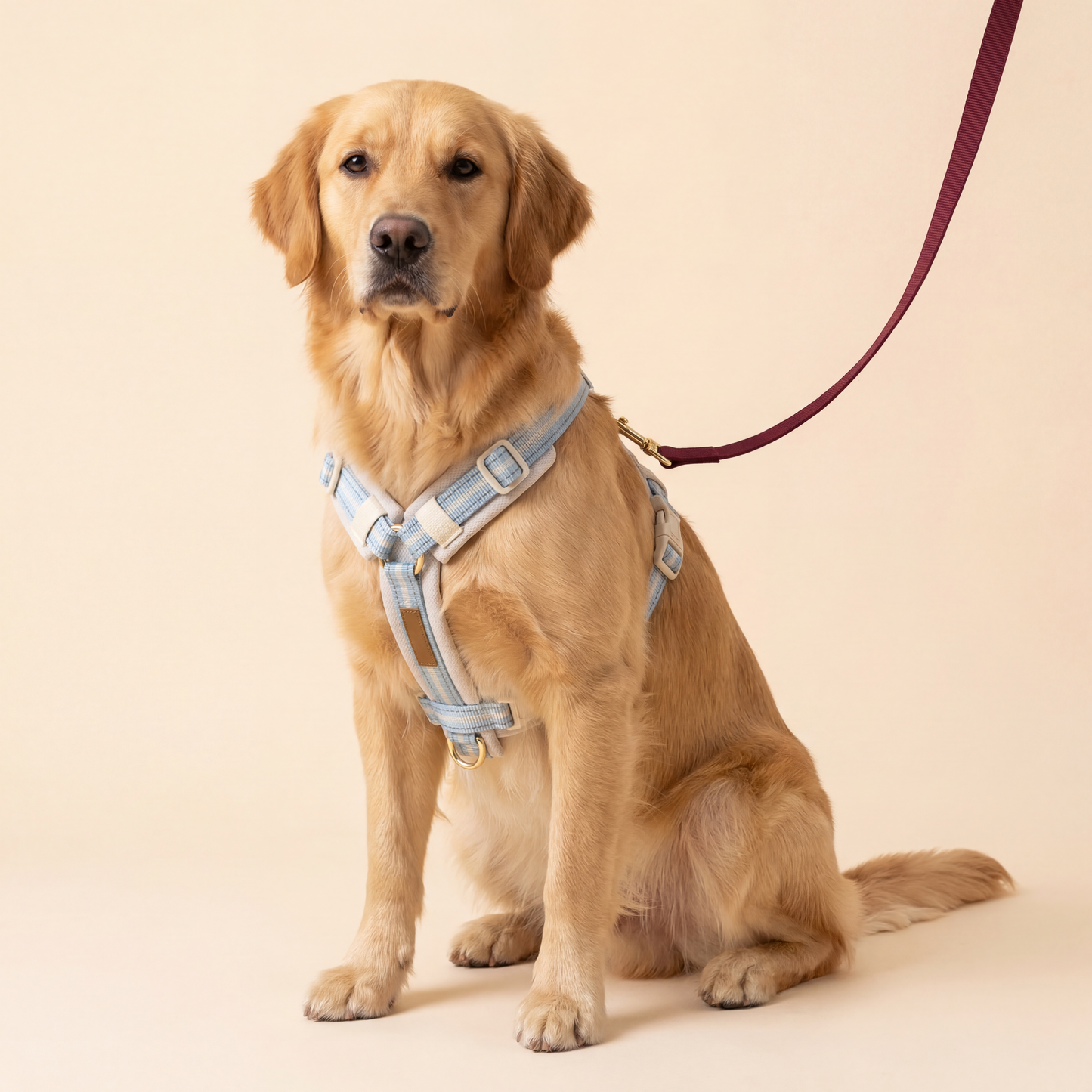 Everyday Comfort Harness — Lightweight Support for Walks, Outings & Daily Adventures