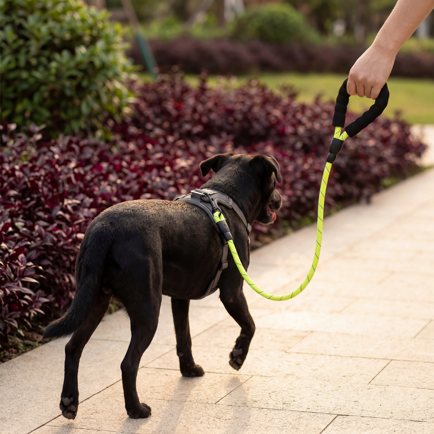 Reflective Rope Dog Leash — Comfortable Grip for Everyday Walks