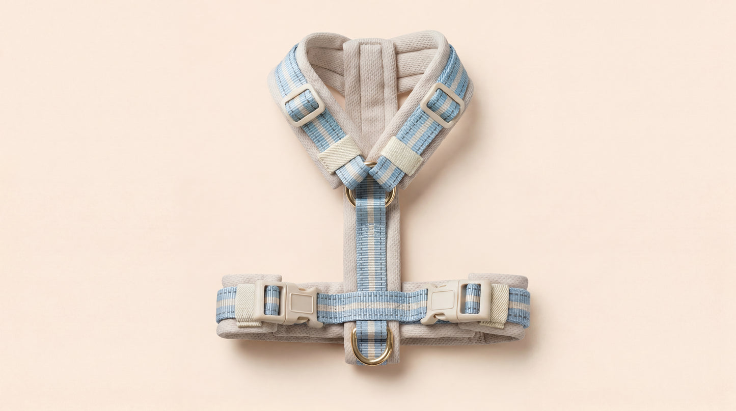 Everyday Comfort Harness — Lightweight Support for Walks, Outings & Daily Adventures