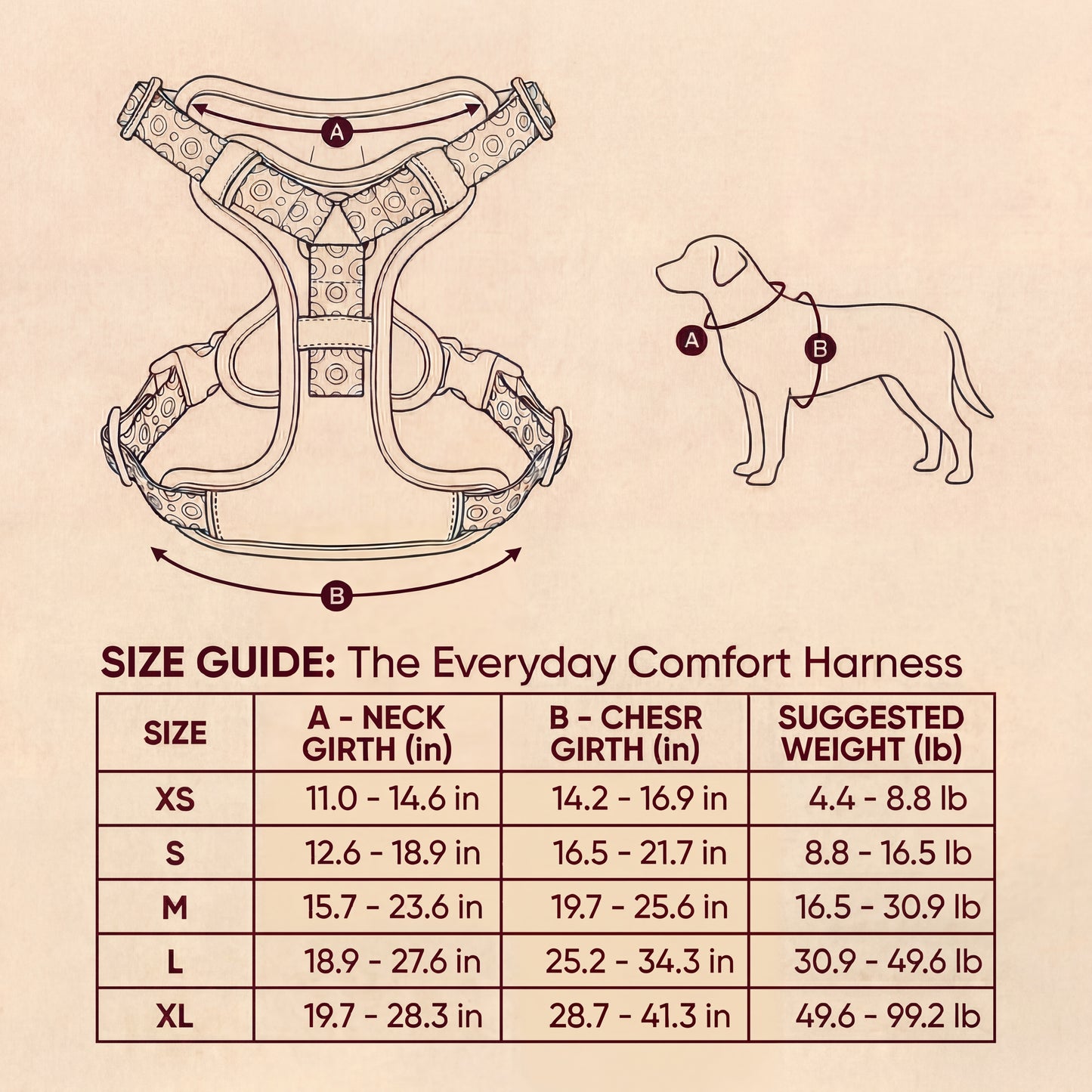Everyday Comfort Harness — Lightweight, Secure Support for Walks, Outings & Everyday Life