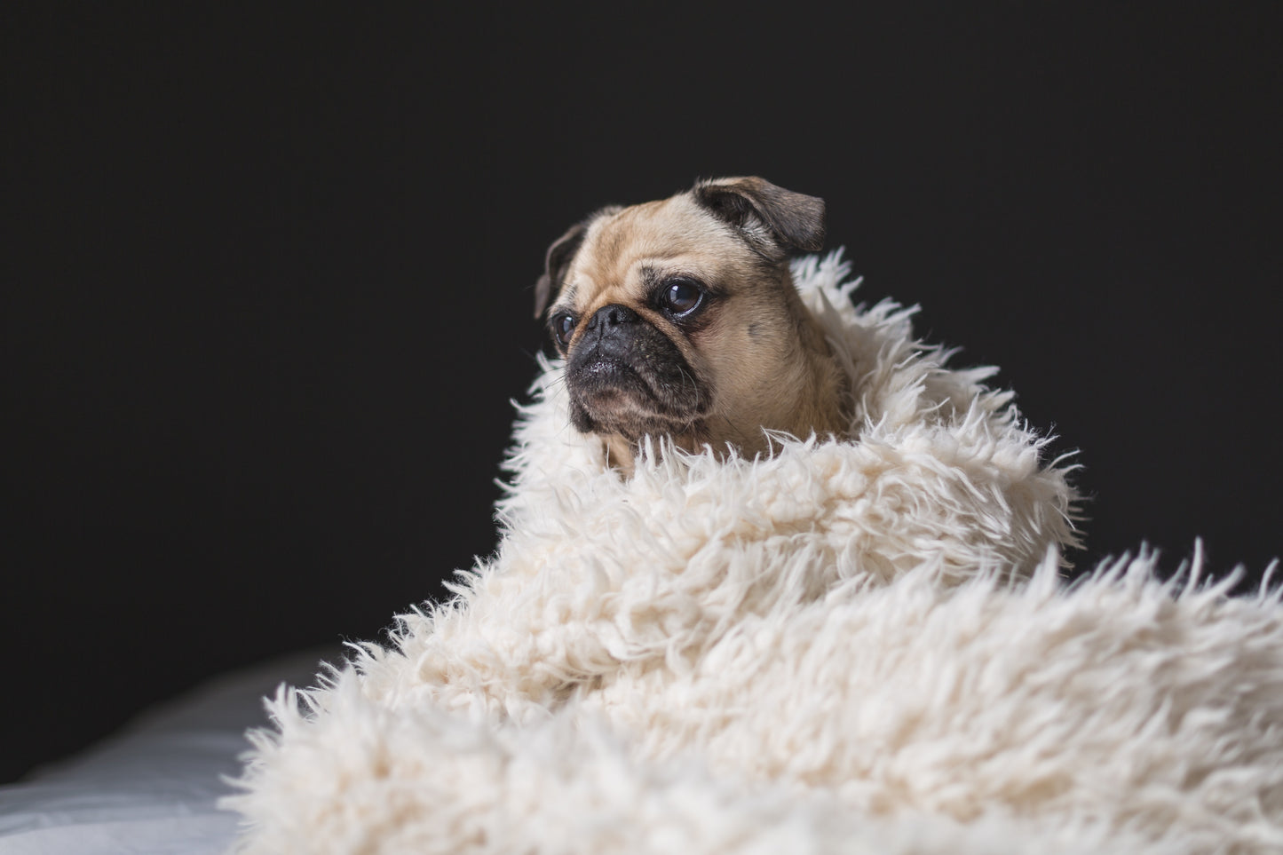 Comfort Beyond Compare