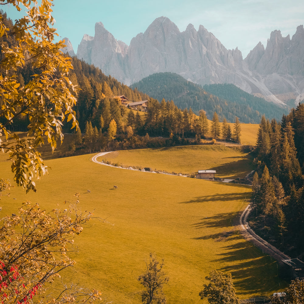 Sustainability That Cares