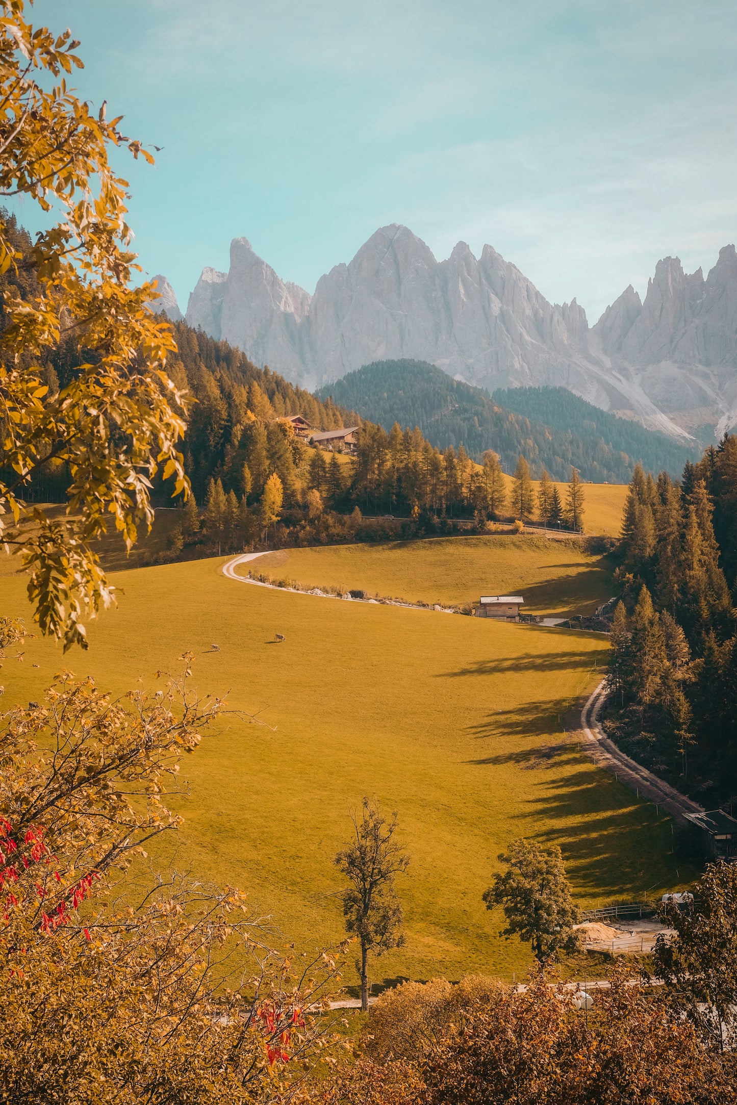 Sustainability That Cares